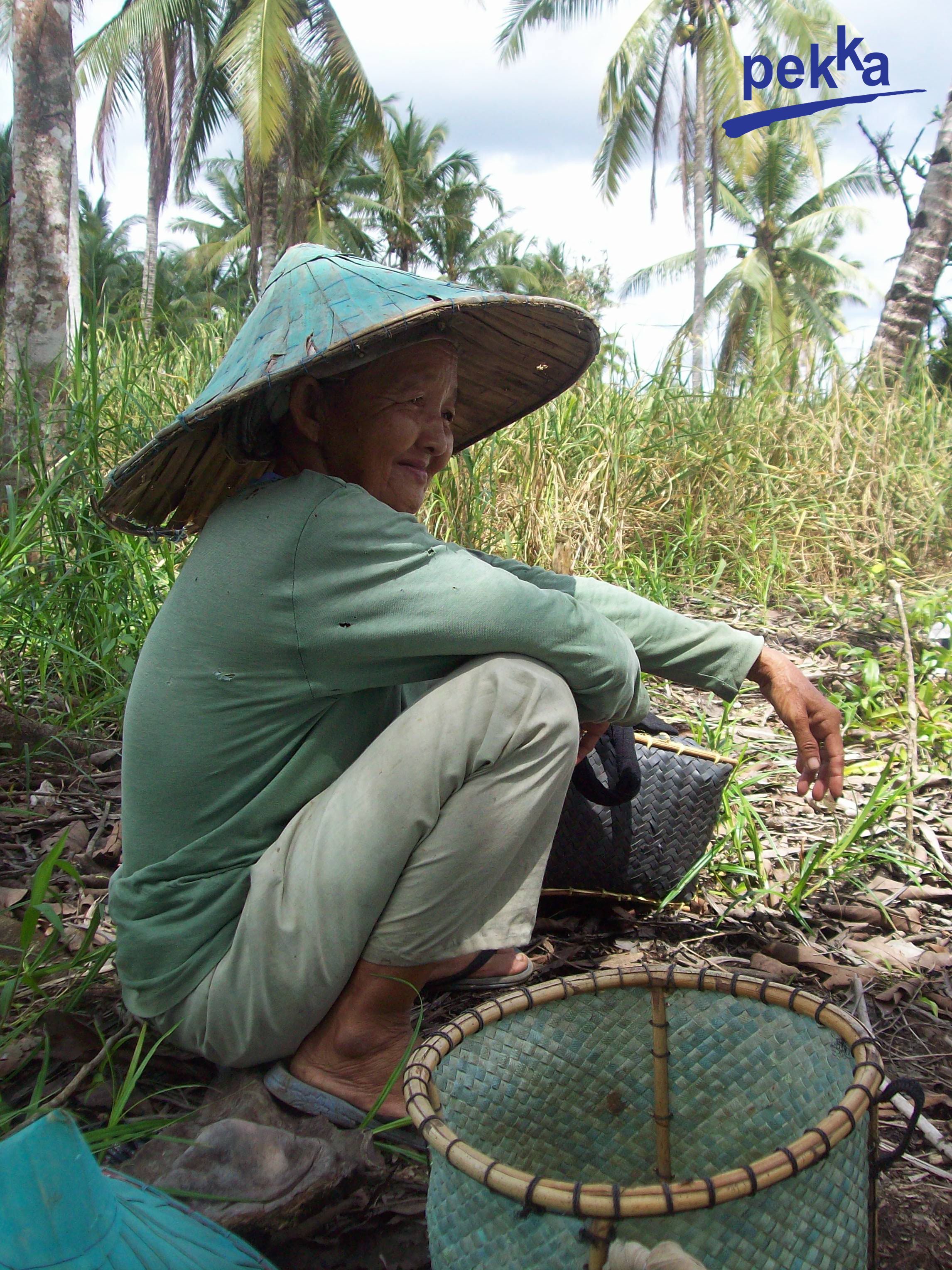 Merintis Usaha Tani di Lahan Gambut